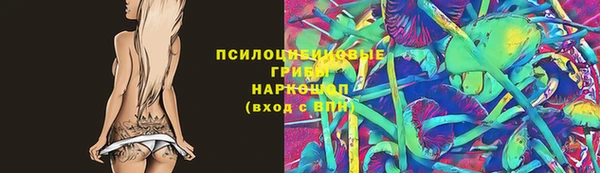 твердый Ельня