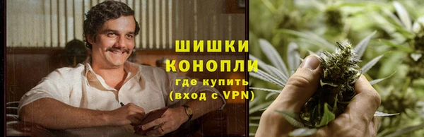 дурь Няндома