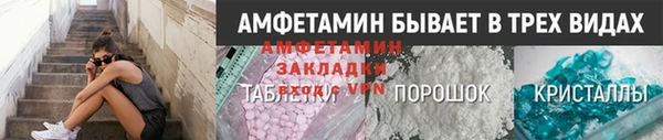 дурь Няндома
