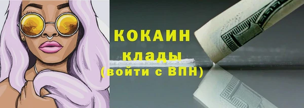 твердый Ельня