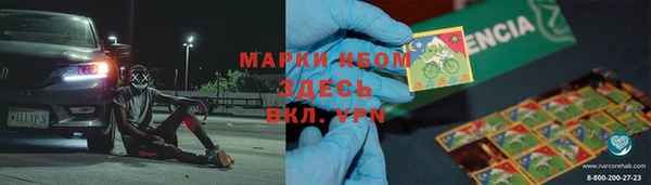 твердый Ельня