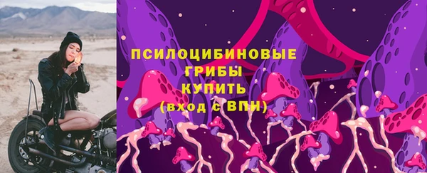Альфа ПВП Елабуга