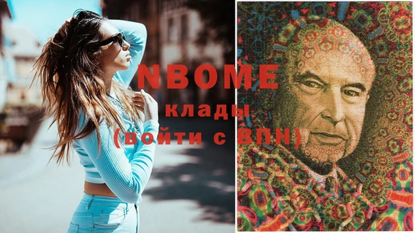 дурь Няндома
