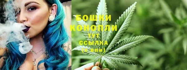прущие крисы Осинники
