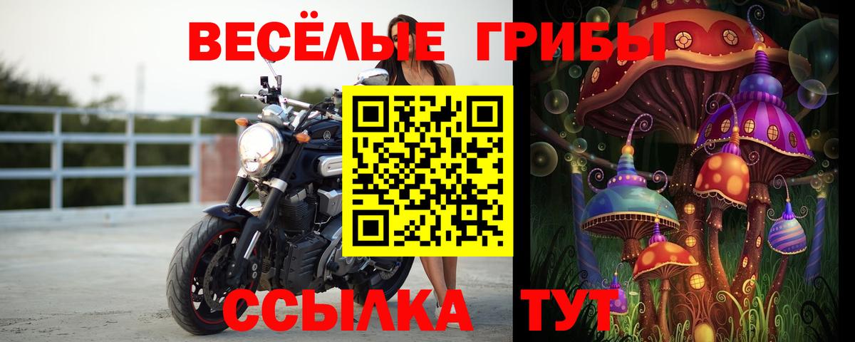 Северобайкальск  Псилоцибиновые грибы мухоморы  Вход с VPN 
