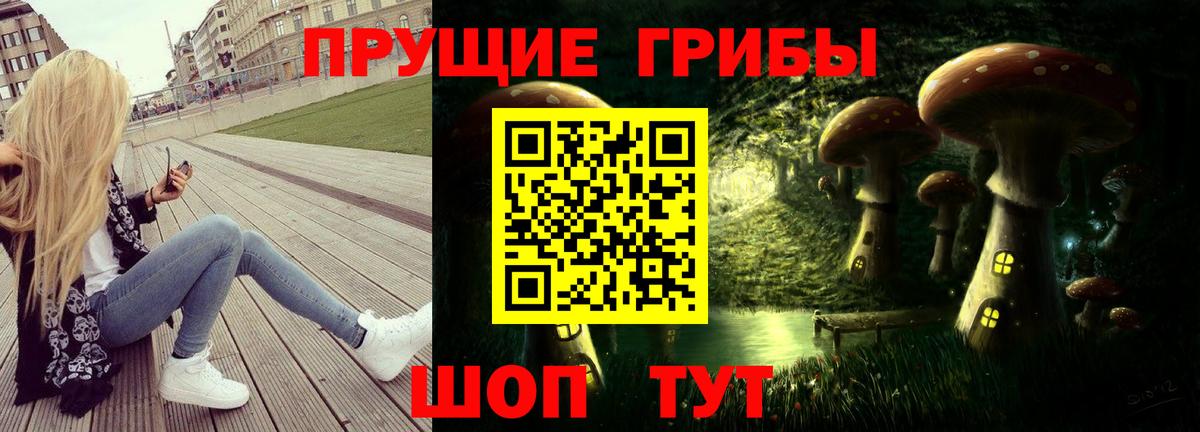 Галлюциногенные грибы MAGIC MUSHROOMS Северобайкальск