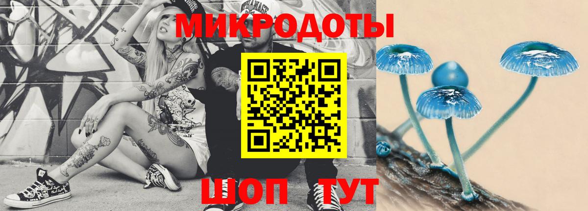 даркнет сайт  Северобайкальск  Галлюциногенные грибы мухоморы  Псилоцибиновые грибы мицелий 